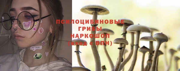 соль курить ск Арсеньев
