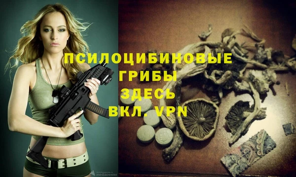 дурь Армянск