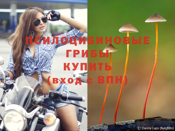 гашиш Абинск